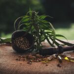 Comment choisir des produits CBD sans THC de haute qualité