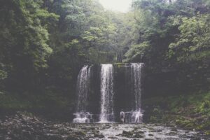 Tourisme écologique