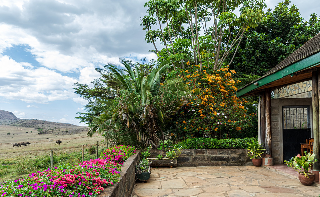 Nakuru au Kenya