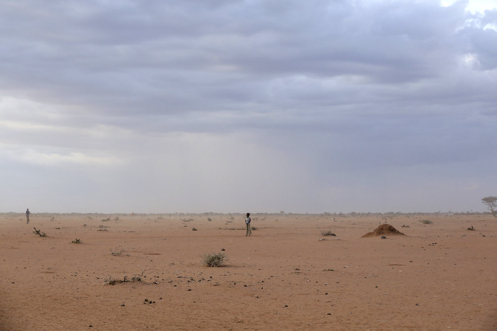 Kenya : Découvrez ses secrets au-delà des safaris