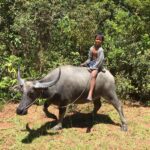 Voyage à petit prix au Cambodge