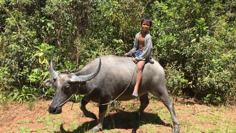 Voyage à petit prix au Cambodge avec guide diplômé à Angkor