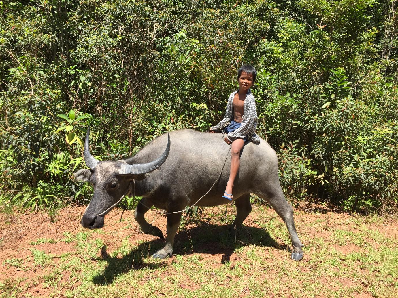Voyage à petit prix au Cambodge avec guide diplômé à Angkor