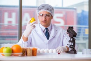 économique l'industrie alimentaire