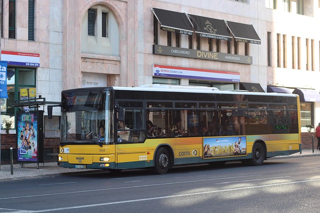 Découvrez les avantages des transports en commun à l’heure de la transition écologique