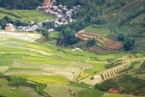 développement durable