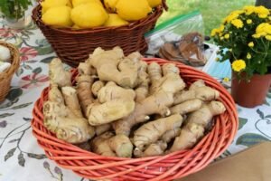 Aphrodisiaques pour hommes